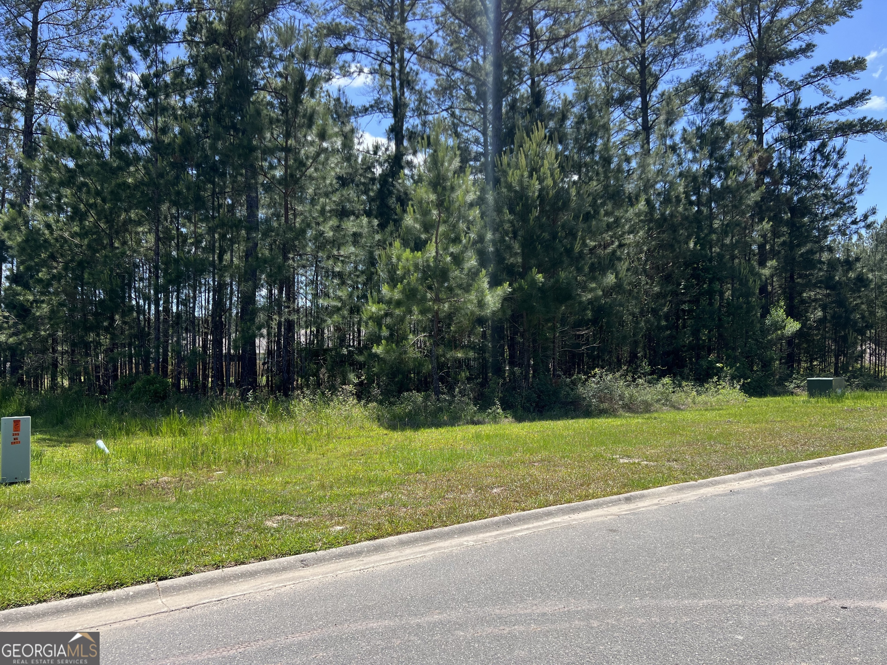 143 Breakwater Loop Kingsland, GA 31548 - Photo 2 of 6