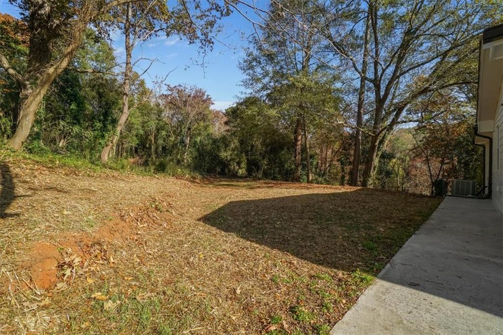 3062 Katherine Valley Road Decatur, GA 30032 - Photo 53 of 61 a view of a yard with trees