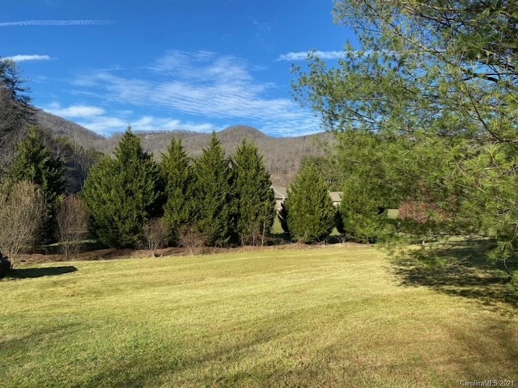 104 Old Fort Road Fairview, NC 28730 - Photo 10 of 10 a view of basketball court