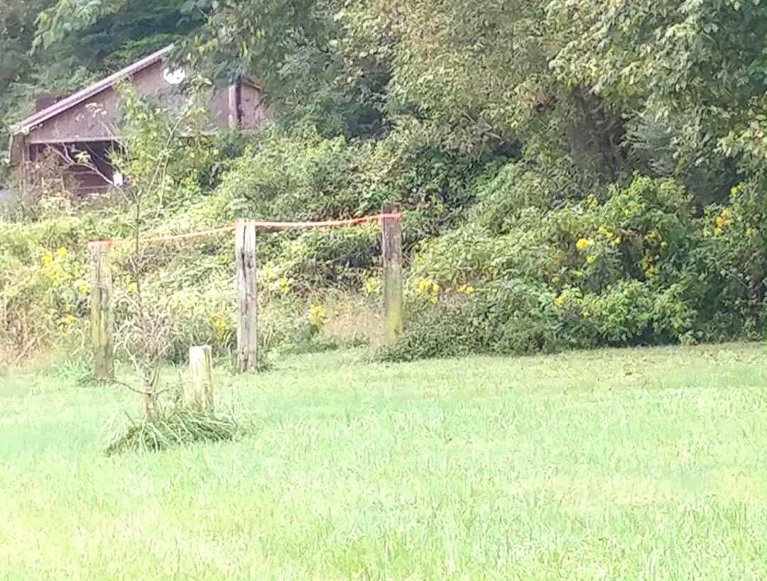 0 Onzie Stewart Road Arjay, KY 40902 - Photo 2 of 5