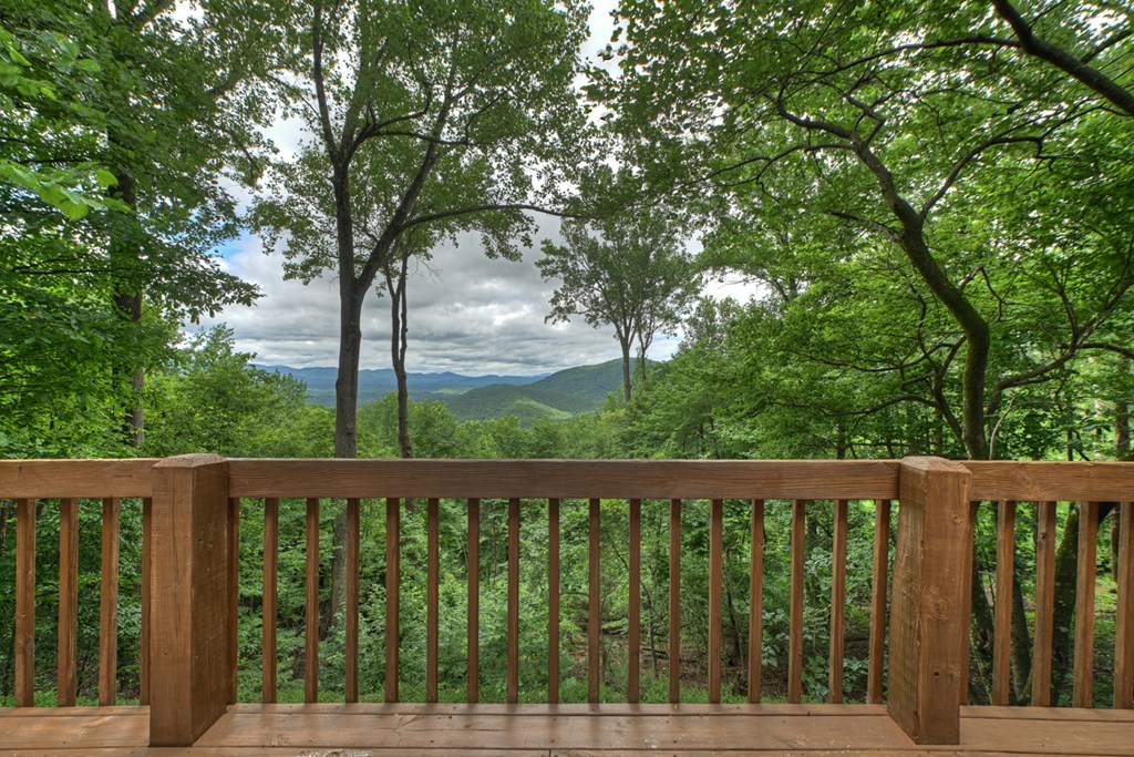161 Walnut Ridge Ellijay, GA 30536 - Photo 14 of 66