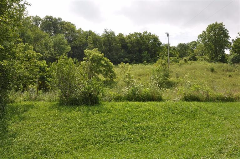 4276 Myers Road Carlisle, KY 40311 - Photo 8 of 31 Photo 8