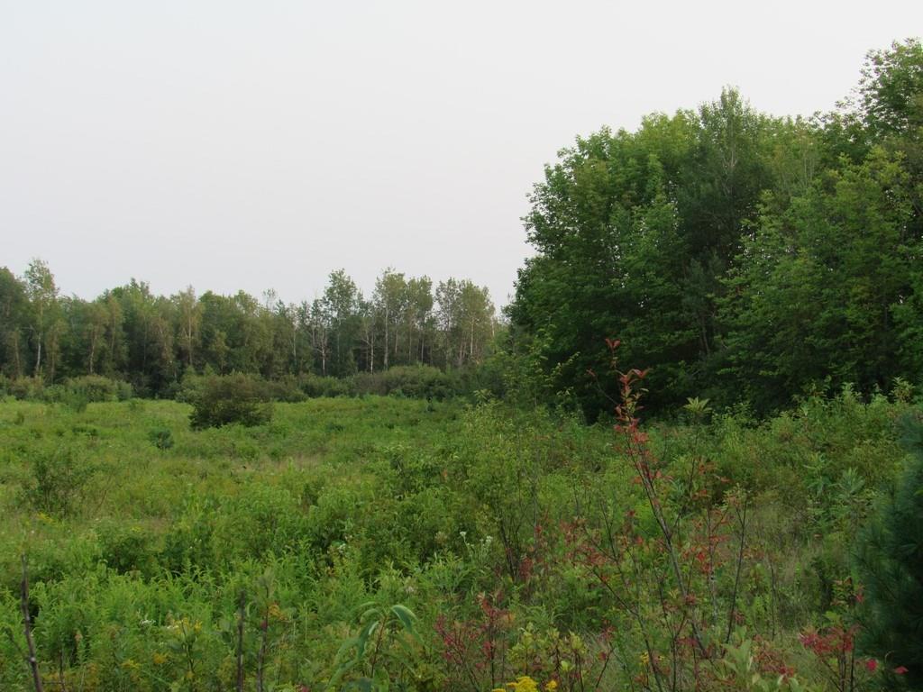 Lot 07 Clark Road Kenduskeag, ME 04450 - Photo 4 of 34 Photo