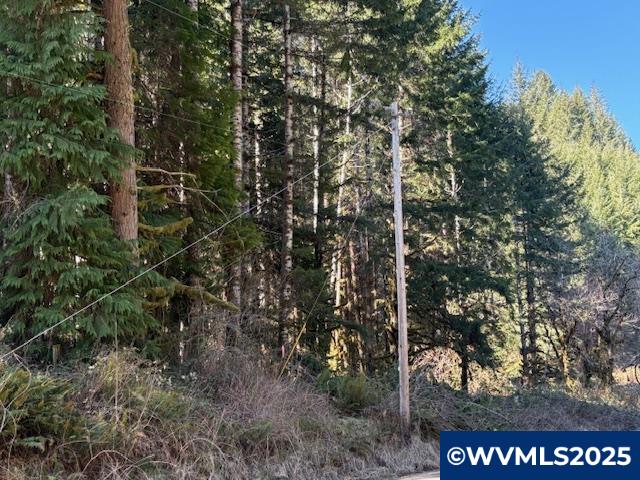 0 Logsden Road Blodgett, OR 97326 - Photo 11 of 24