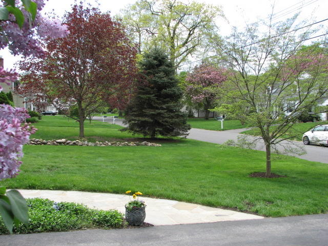 3 Miles Road Darien, CT 06820 - Photo 24 of 32 a view of a garden with a tree