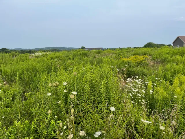 $130,000 | Lot 3 Calming Mdws Court, Middleville, MI 49333