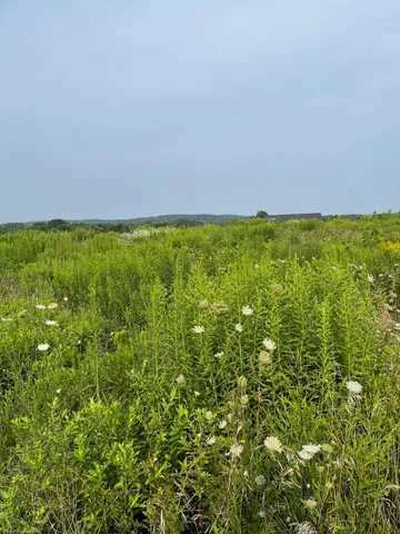 $130,000 | Lot 3 Calming Mdws Court, Middleville, MI 49333