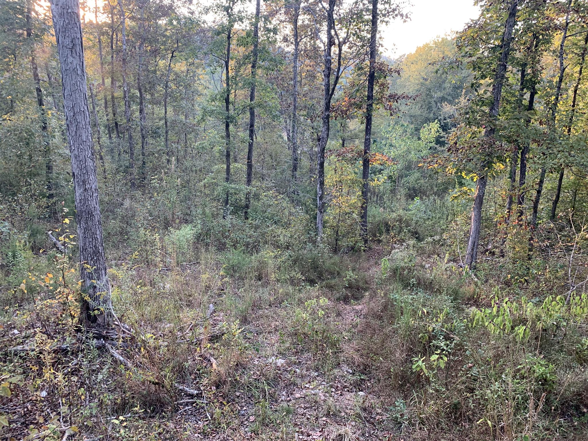 0 Ray Hollow Road Clifton, TN 38425 - Photo 11 of 12 Gallery Image 11