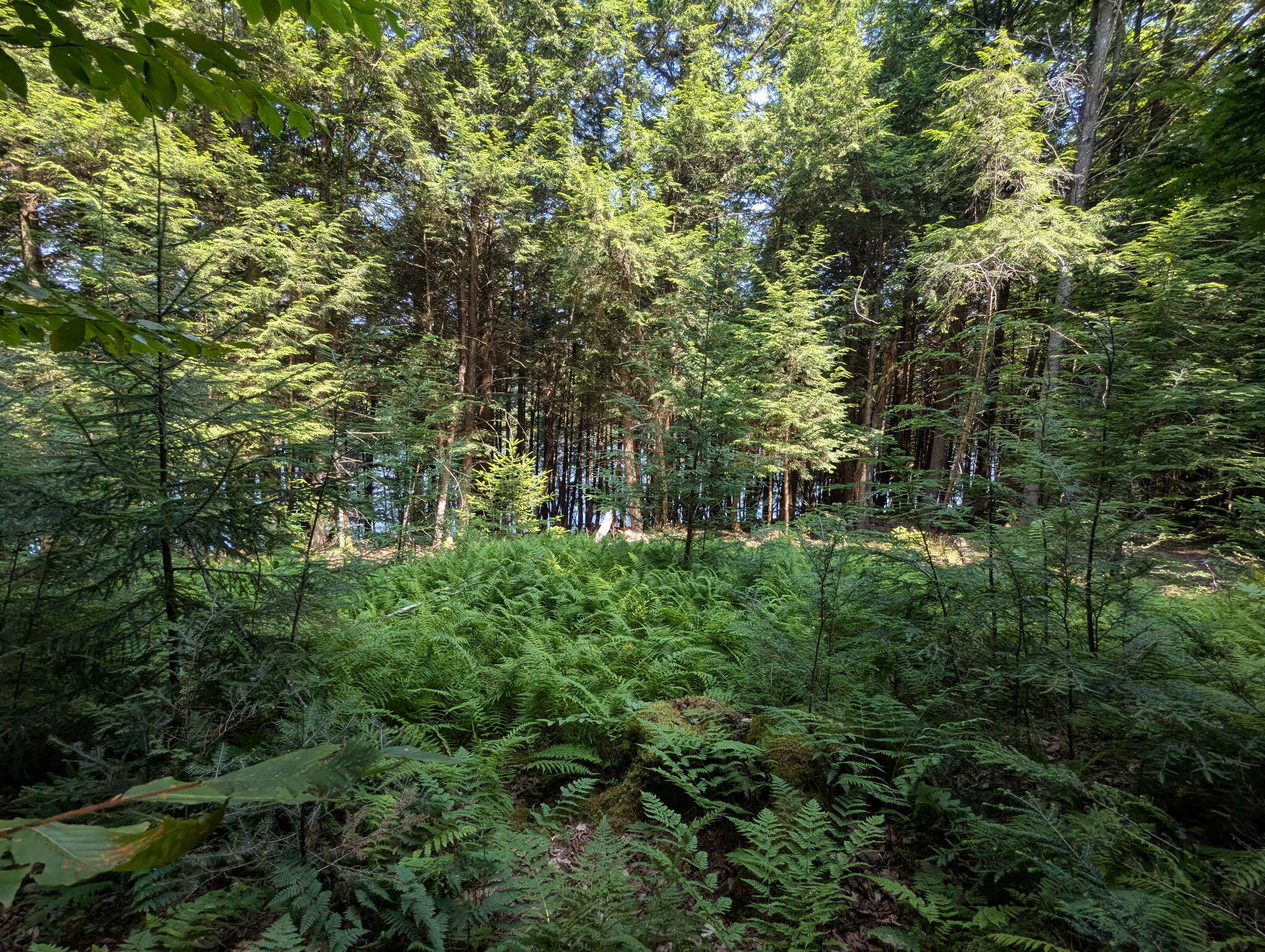 Lot #8 Kolm Road Garland, ME 04939 - Photo 4 of 4 1000011016