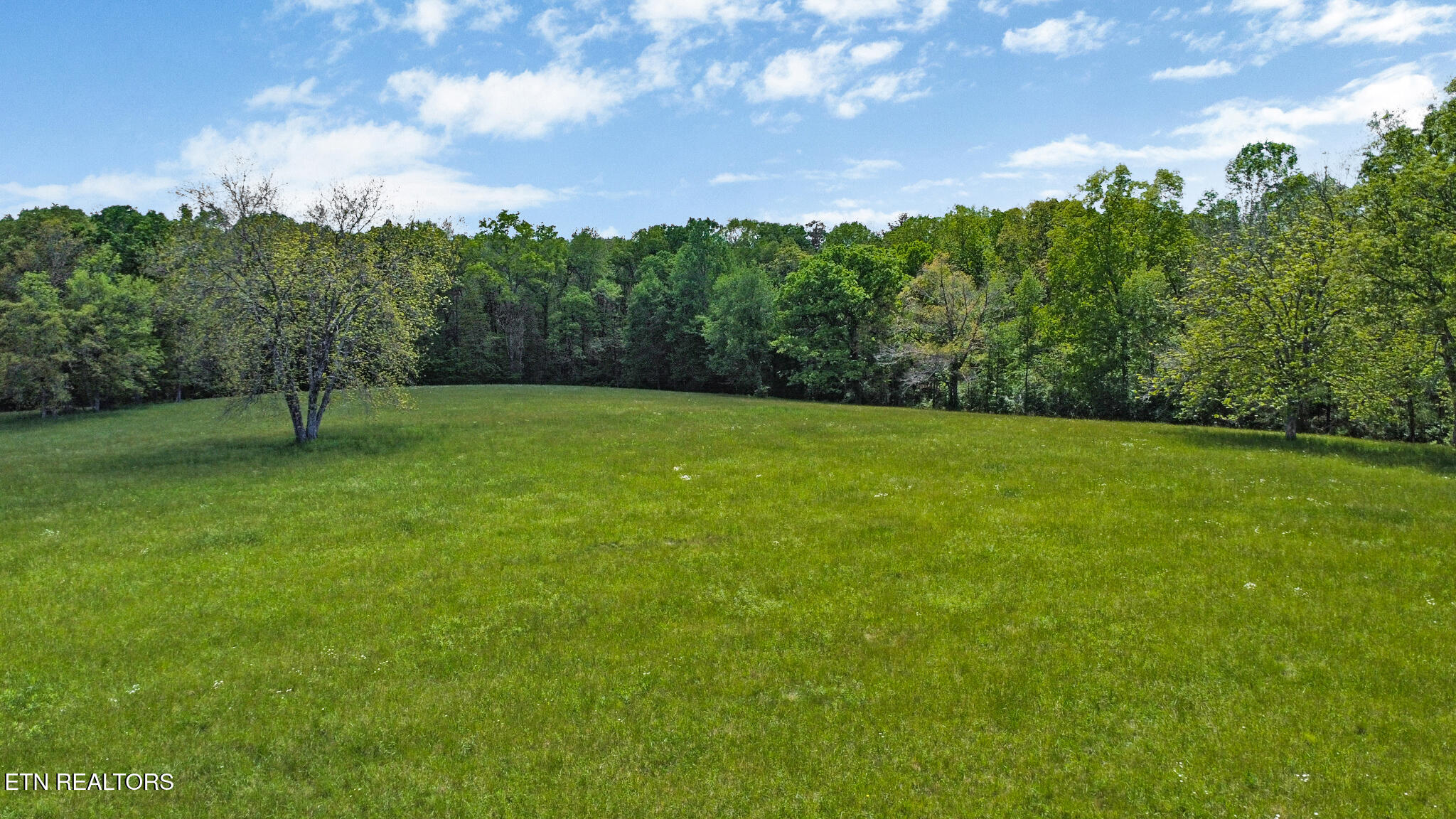 1309 Deep Draw Road Crossville, TN 38555 - Photo 10 of 15 dji_0936-dji_0938