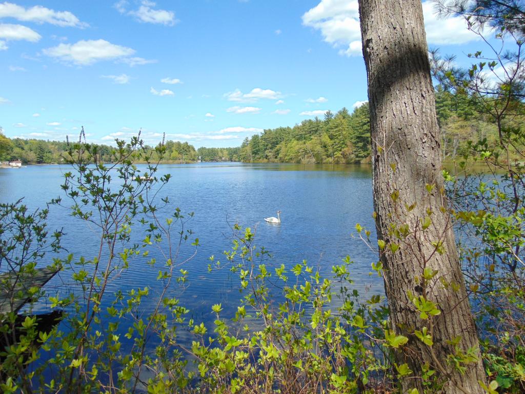 174 Naticook Road Merrimack, NH 03054 - Photo 5 of 6