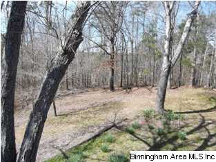 2409 Lakeside Drive McCalla, AL 35111 - Photo 30 of 32