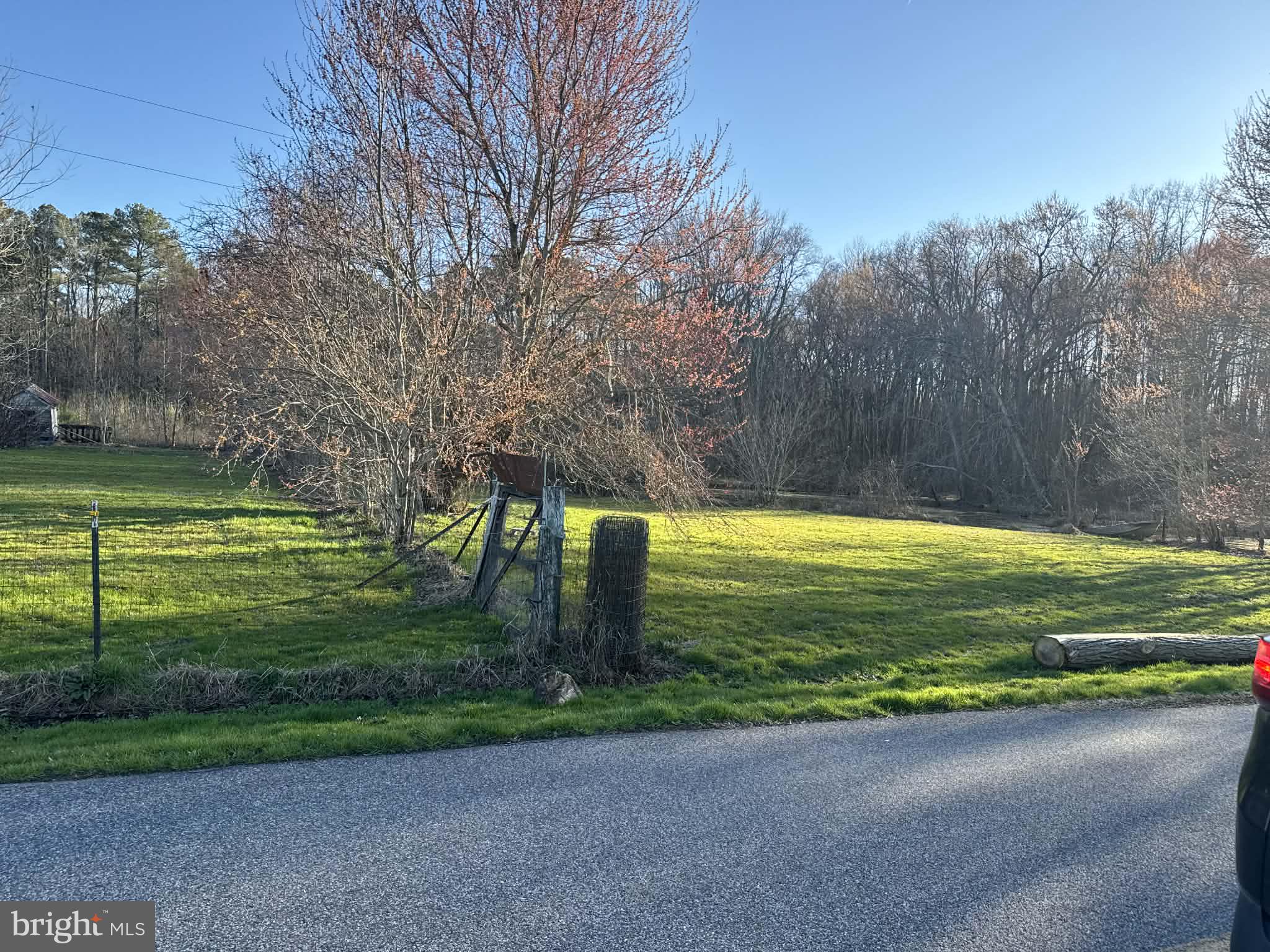 0 Byrd Road Pocomoke City, MD 21851 - Photo 2 of 3