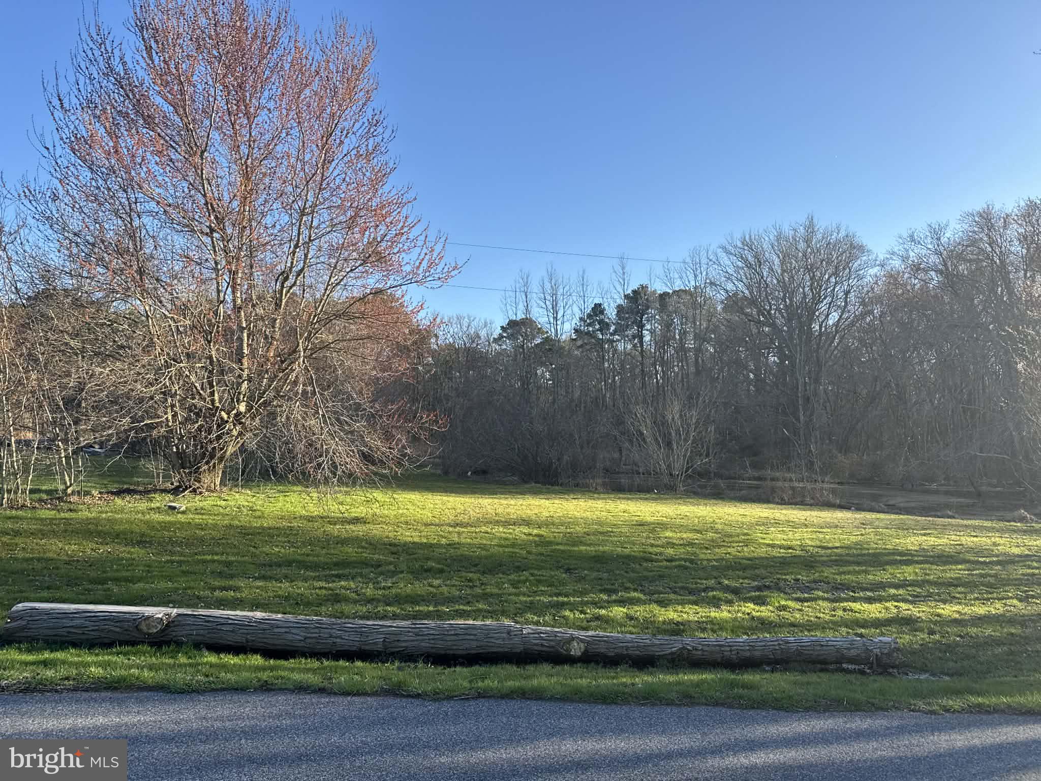 0 Byrd Road Pocomoke City, MD 21851 - Photo 3 of 3