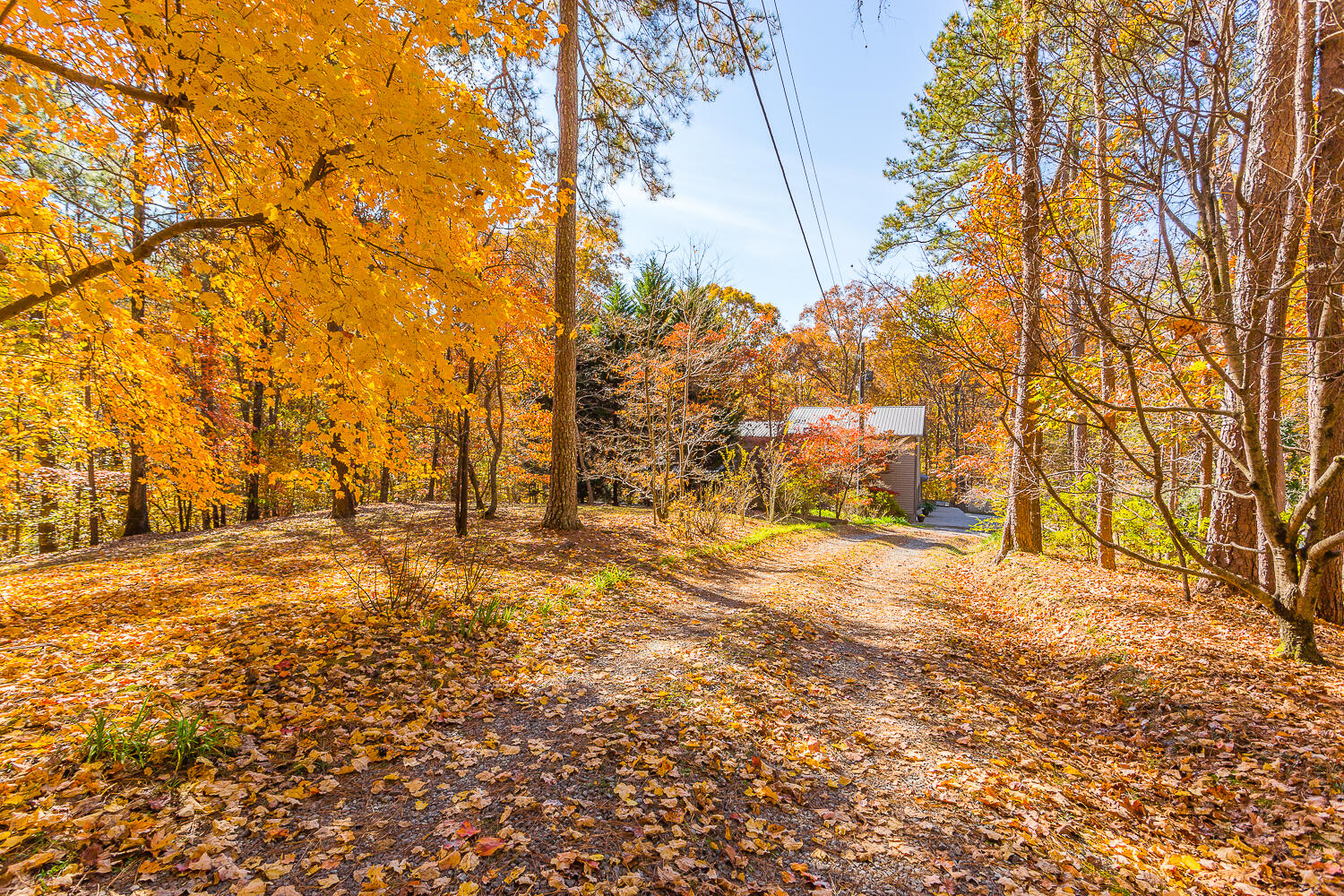 2040 Upper Ridge Road Southeast Dalton, GA 30721 - Photo 36 of 43 2040 Upper Ridge Road HD Expires 11.22.2