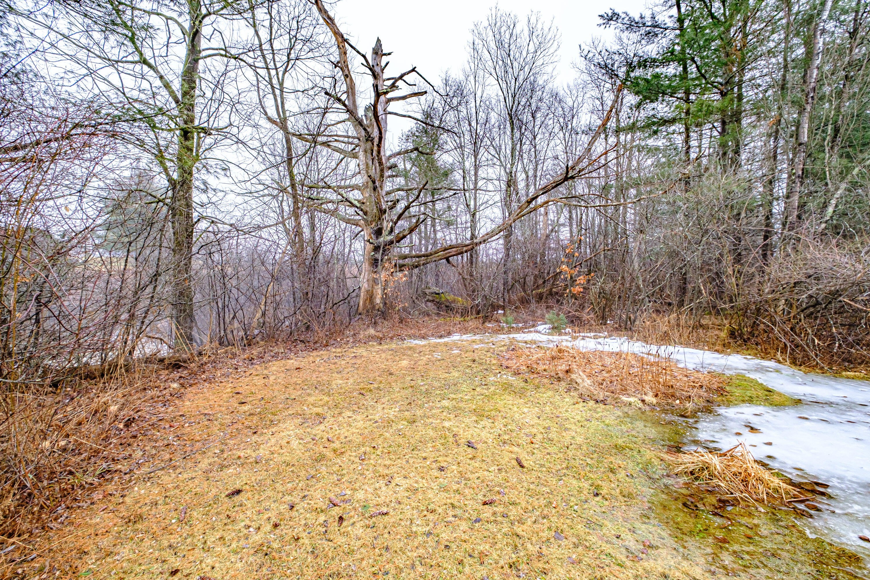 39 Longfellow Road Gorham, ME 04038 - Photo 11 of 64 20240228gp-60010