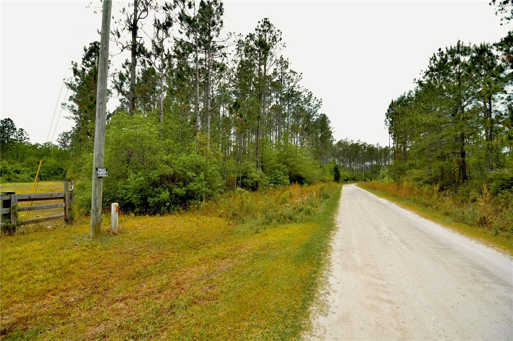 Sweet Gum Road Glen St. Mary, FL 32040 - Photo 25 of 44