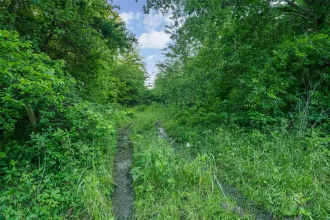 a view of a lush green space