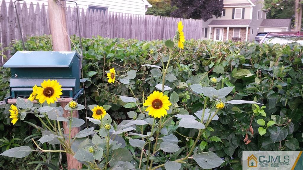 25 Idlewild Road Edison, NJ 08817 - Photo 22 of 27 a view of a bunch of flowers with wooden fence