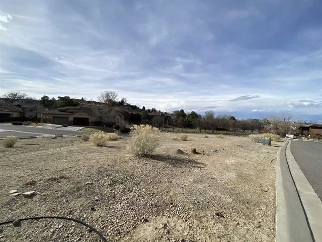 a view of a dry yard with wooden fence