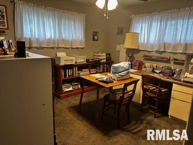 610 Sandusky Street Jacksonville, IL 62650 - Photo 12 of 24