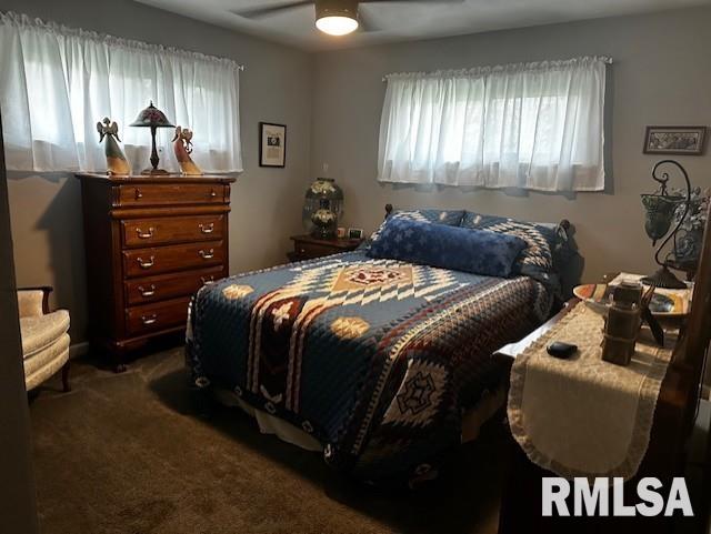 610 Sandusky Street Jacksonville, IL 62650 - Photo 10 of 24