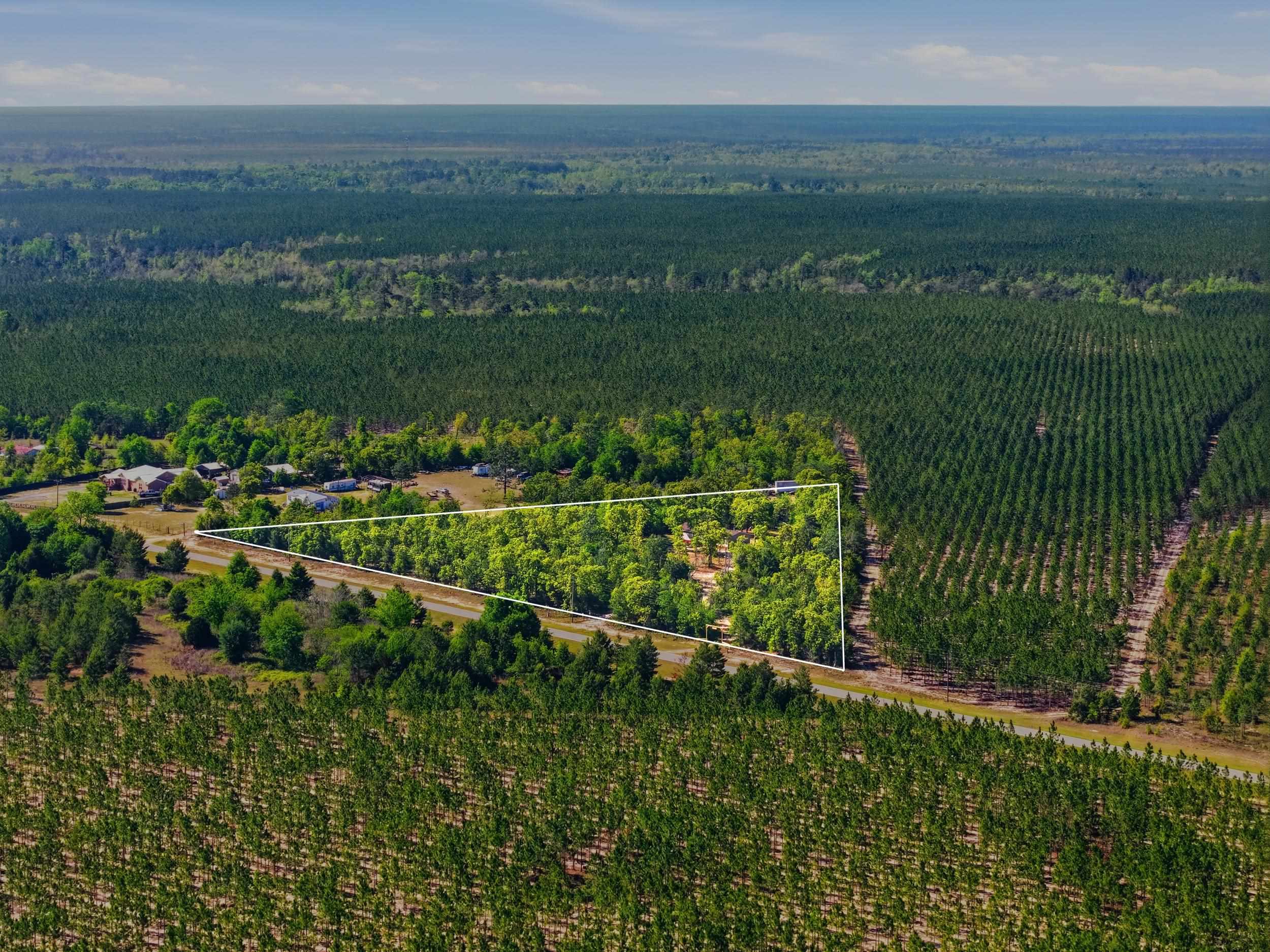 2075 Pine Grove Church Road Quincy, FL 32351 - Photo 27 of 34