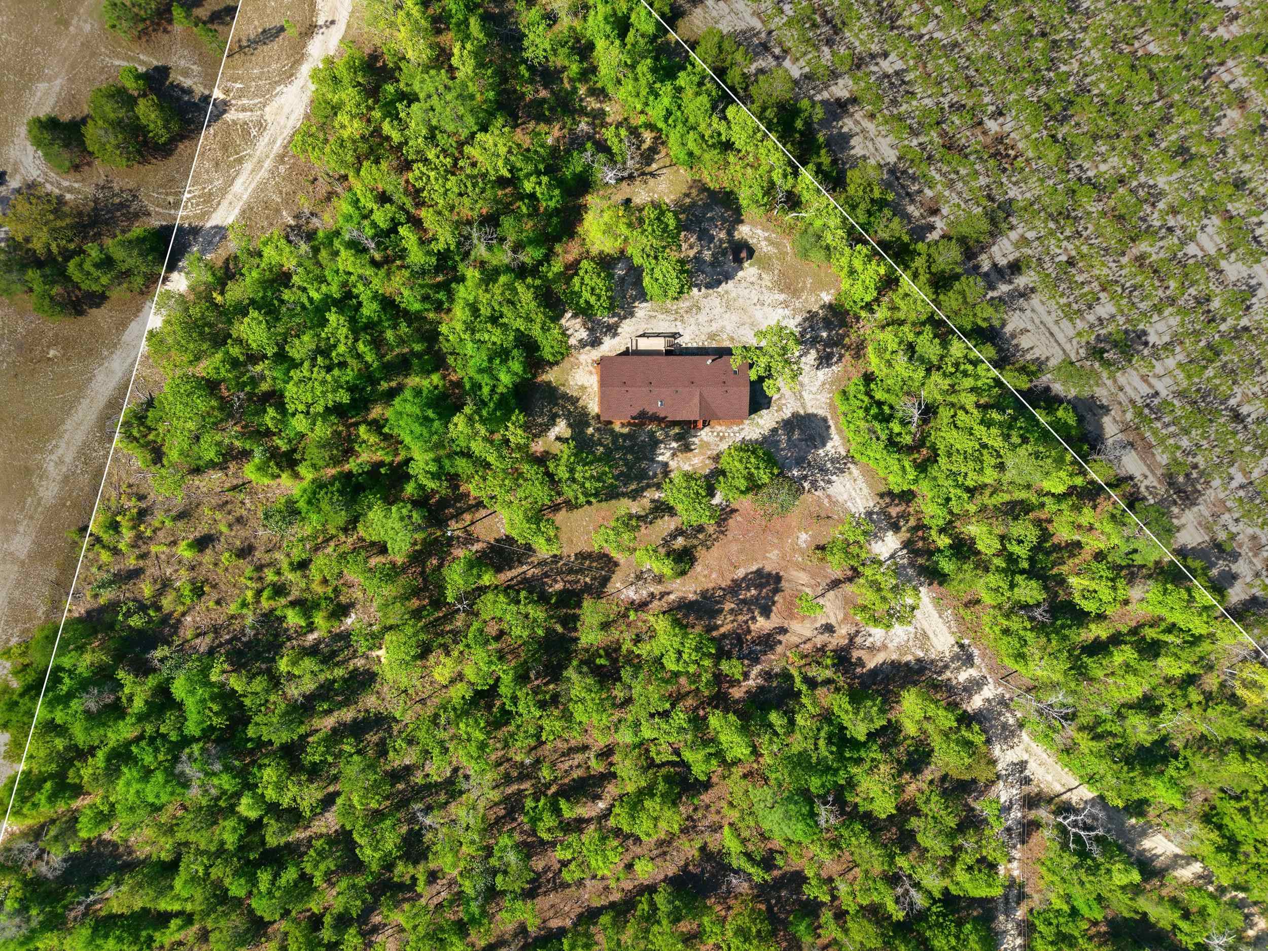 2075 Pine Grove Church Road Quincy, FL 32351 - Photo 3 of 34