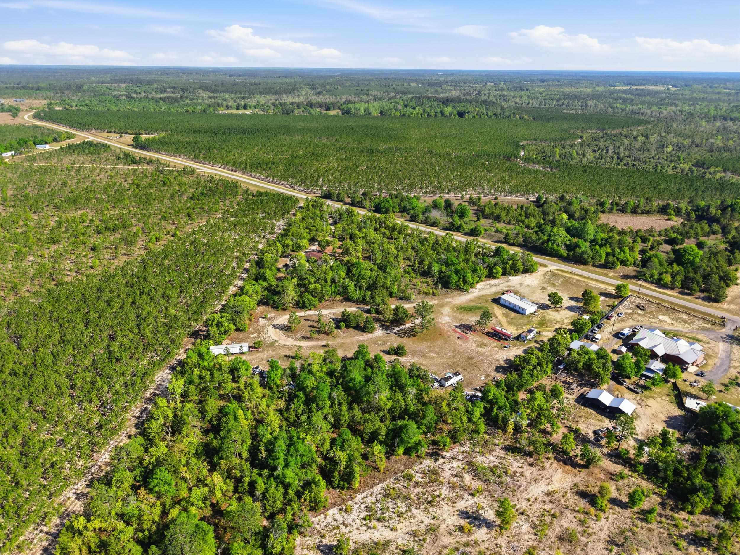 2075 Pine Grove Church Road Quincy, FL 32351 - Photo 5 of 34