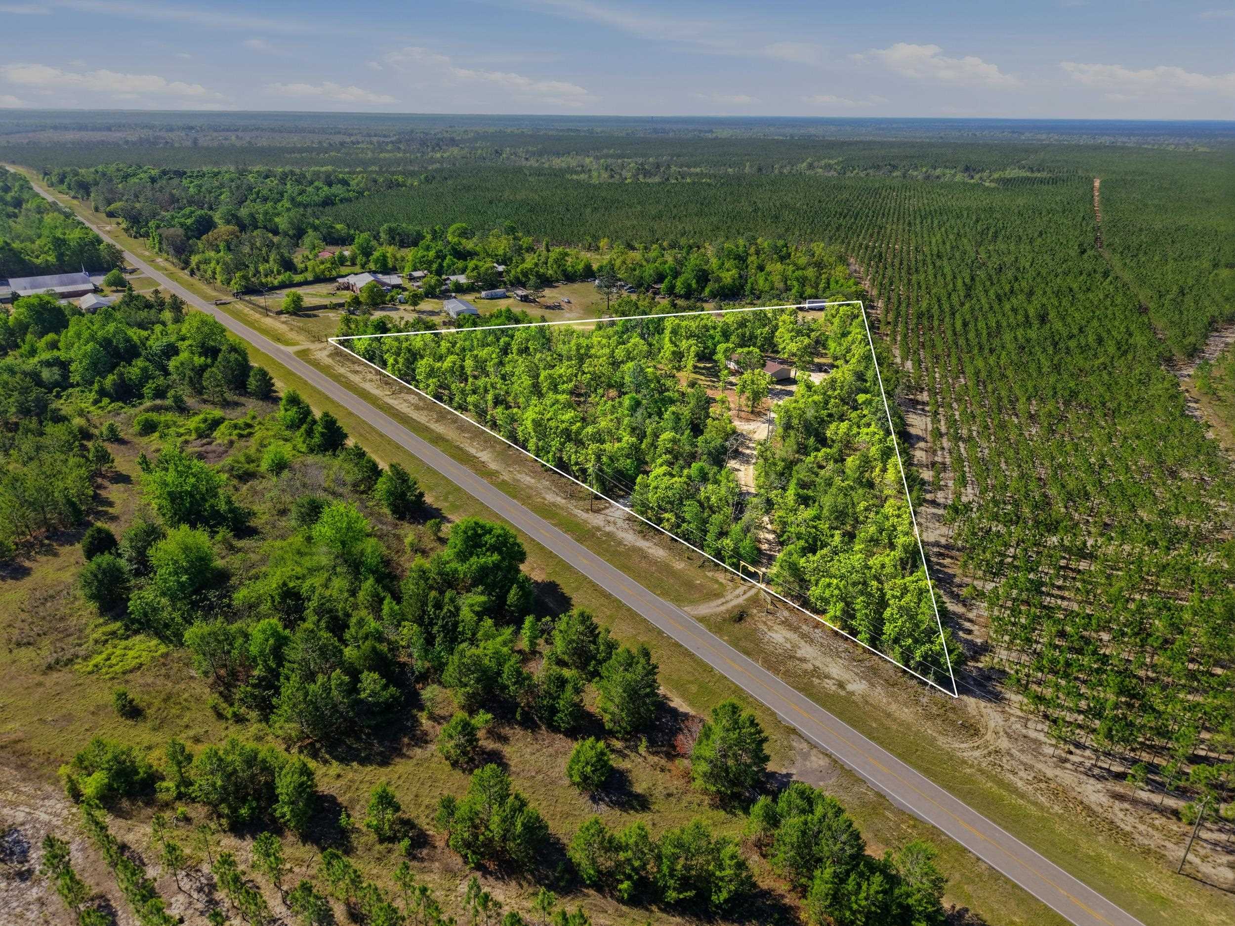 2075 Pine Grove Church Road Quincy, FL 32351 - Photo 6 of 34