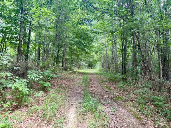 $220,500 | Chisholm Drive, Bogue Chitto, MS 39629