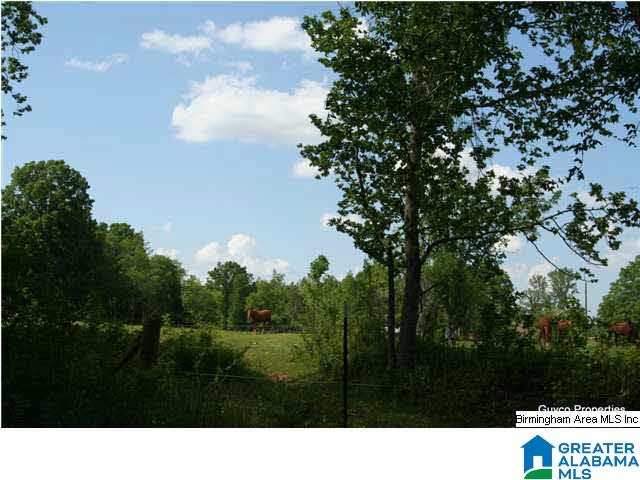 111 Marble Valley Road, Unit 111 Sylacauga, AL 35151 - Photo 5 of 13