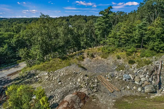 a view of a city with lush green forest