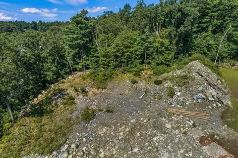 a view of a green field with lots of bushes