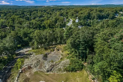 a view of a lush green forest with lots of trees
