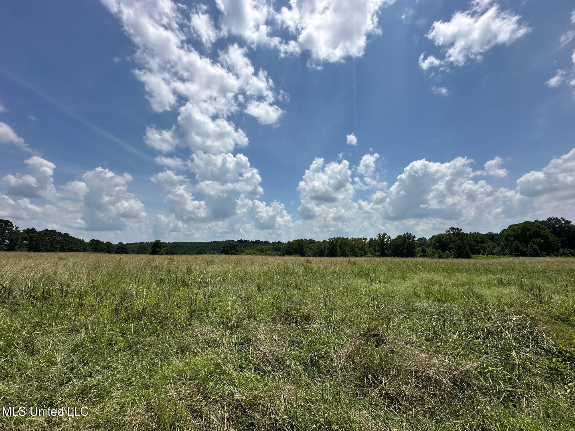 3 County Road 347 Philadelphia, MS 39350 - Photo 4 of 18 3