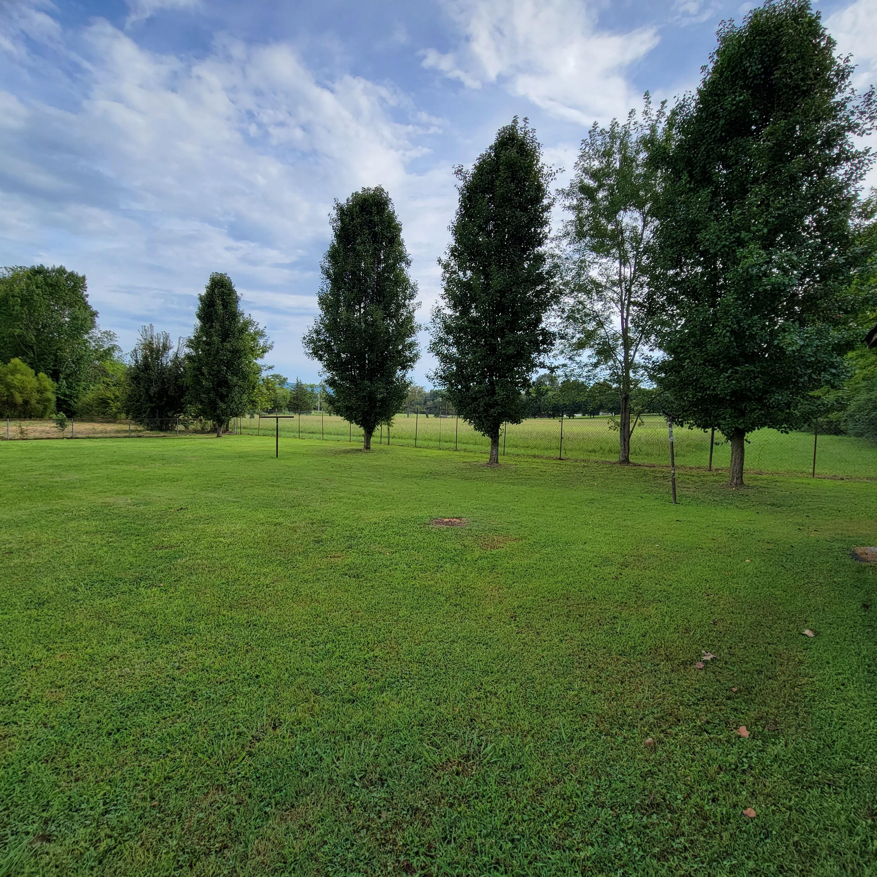 Fenced Back Yard