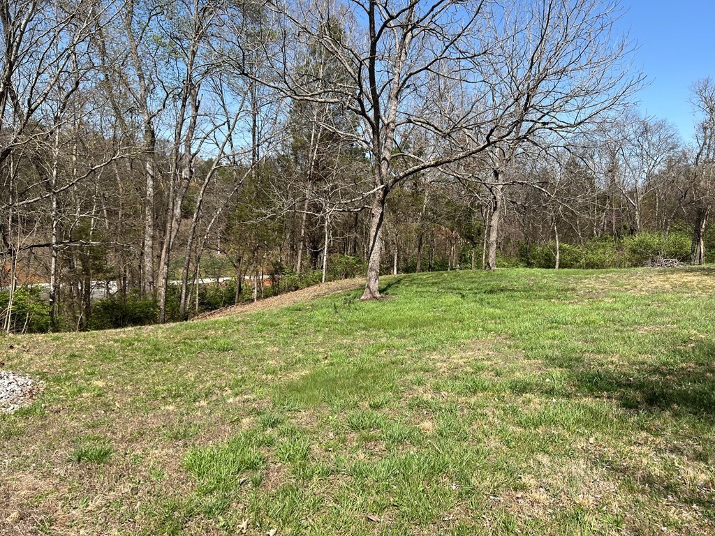 0 Sullivan Pointe Point Dandridge, TN 37725 - Photo 3 of 5