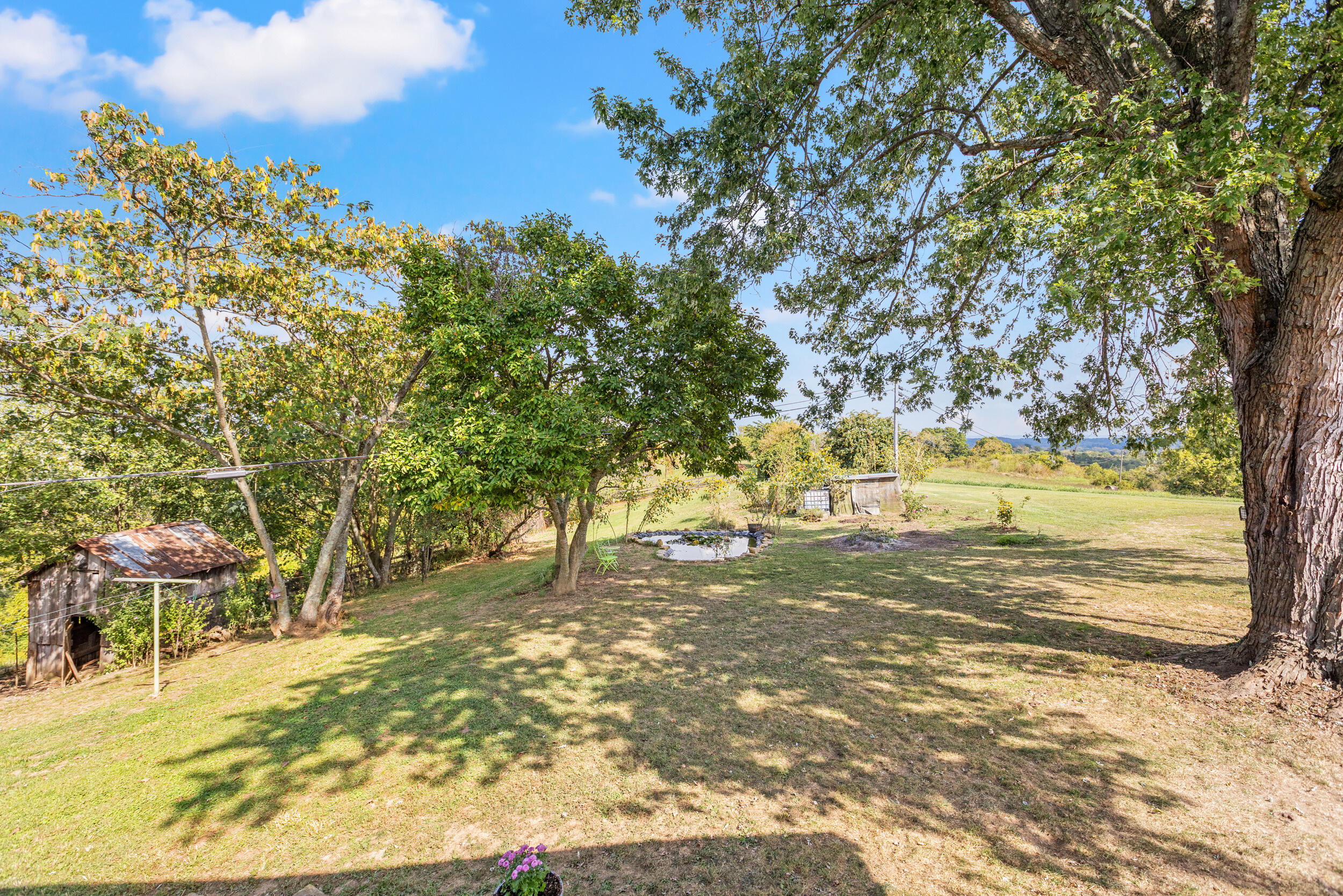 1996 White Conkwright Road Winchester, KY 40391 - Photo 25 of 41 Backyard