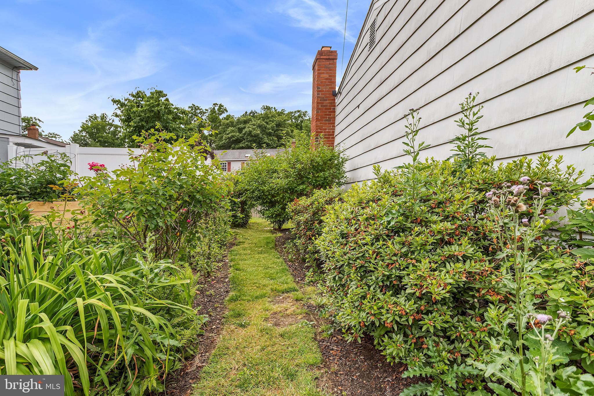 1033 Crozer Lane Springfield, PA 19064 - Photo 24 of 26 Side yard garden