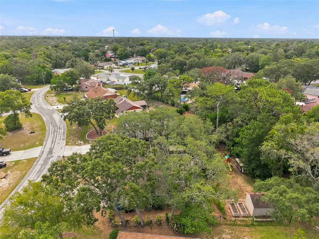 7407 Philatelic Drive Spring Hill, FL 34606 - Photo 41 of 43