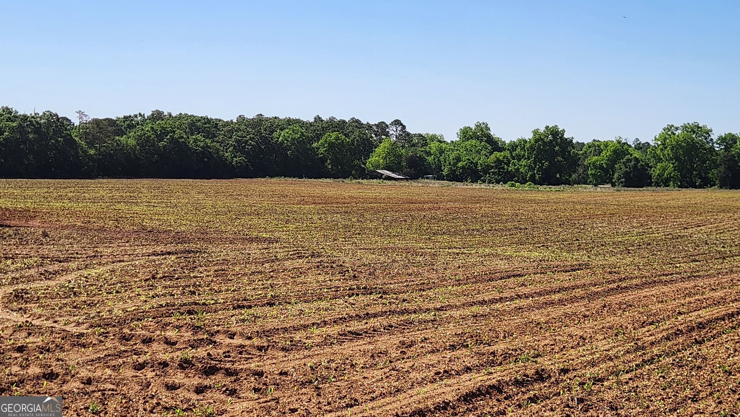 246 Melton Mill Road Dawson, GA 39842 - Photo 67 of 78