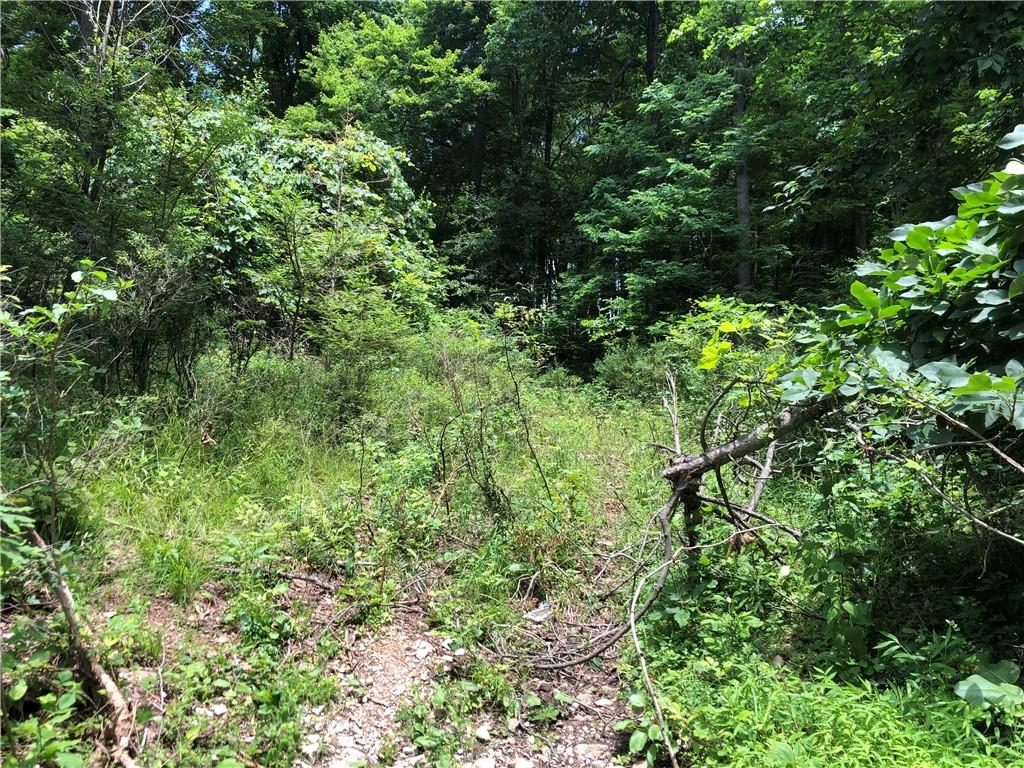 224-225 Old Mill Road Chalk Hill, PA 15470 - Photo 6 of 31