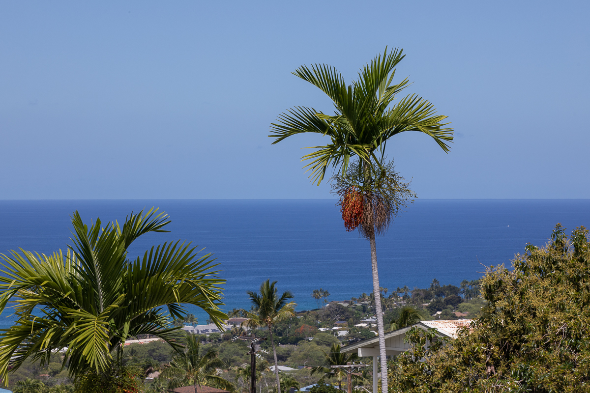 77-6585 Sea View Circle, Unit 104 Kailua-Kona, HI 96740 - Photo 2 of 23 a view of a palm tree with ocean view
