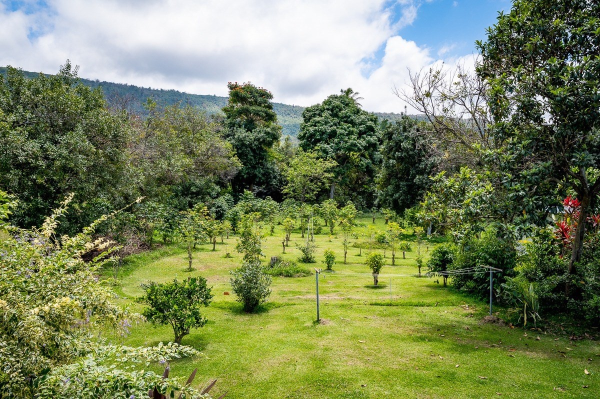 83-5434-C Middle Keei Road Captain Cook, HI 96704 - Photo 14 of 30 a view of yard with green space