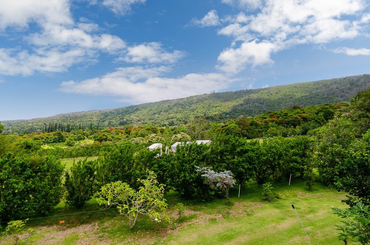 83-5434-C Middle Keei Road Captain Cook, HI 96704 - Photo 29 of 30 a view of a garden