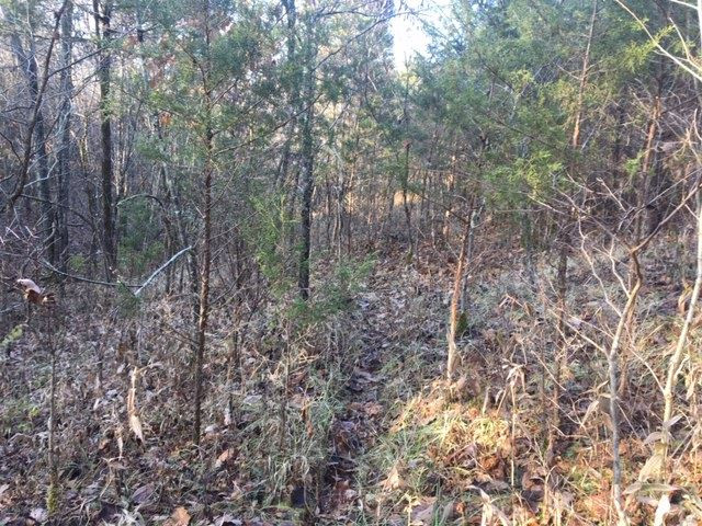 2015 Keefer Lawrenceville Road Corinth, KY 41010 - Photo 24 of 24