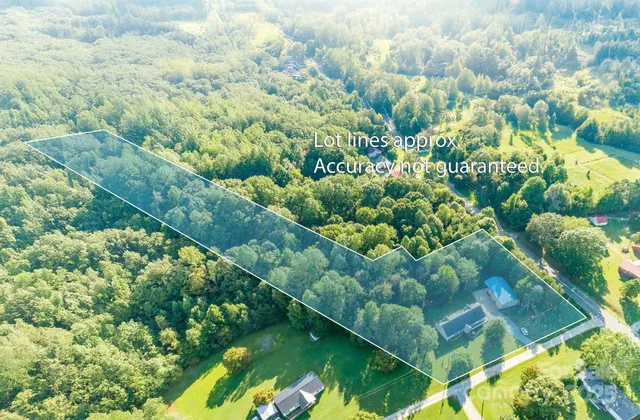 a view of a garden with a tree