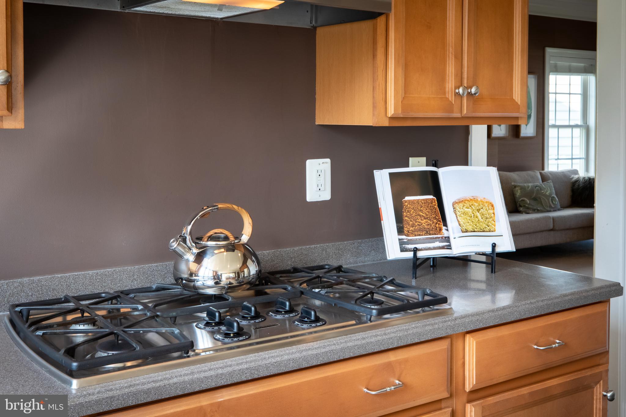 209 Barnhill Road Perkasie, PA 18944 - Photo 24 of 77 Gallery Image 24