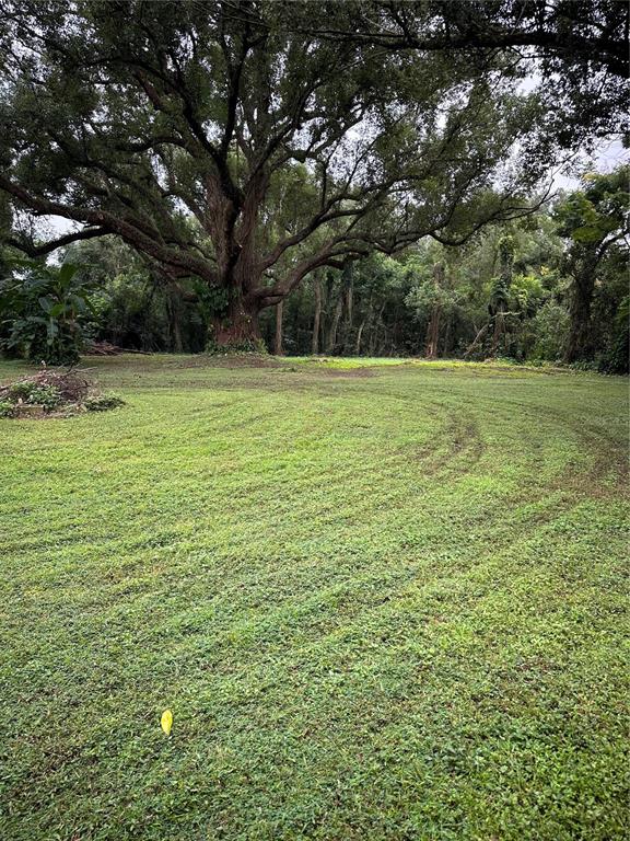 10141 Connerly Road Dade City, FL 33525 - Photo 1 of 12 Gallery Image 1